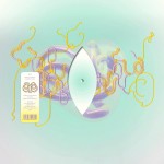 Bjork History Of Touches (Krampfhaft Remix) (Vinilo) (Single)
