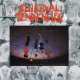 Suicidal Tendencies Suicidal Tendencies (Vinilo)