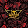 Aerosmith  Permanent Vacation (CD)