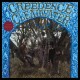 Creedence Clearwater Revival Creedence Clearwater Revival  (Vinilo)