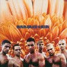 Rammstein Herzeleid (Vinilo) (2LP)