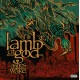 Lamb Of God Ashes Of The Wake (Vinilo) (2LP) (20th Anniversary)