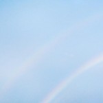 Turnstile Never Enough (Vinilo)