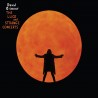 David Gilmour Luck And Strange Concerts (2CD)