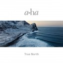 A-ha True North (Vinilo) (2LP)