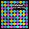 Marvin Gaye Greatest Hits Live In '76 (Vinilo)