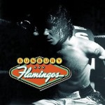 Bunbury Flamingos (CD)
