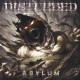 Disturbed Asylum (CD)