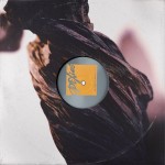 Pixies The Night The Zombies Came (Vinilo)