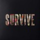Lewis Capaldi Survive (EP) (Vinilo)