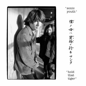 Sonic Youth Hold That Tiger (Vinilo) (2LP)