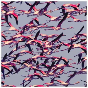 Deftones Gore (Vinilo) (2LP)