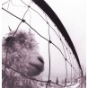 Pearl Jam VS (Vinilo) (180 Gram Vinyl)