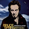 Bruce Springsteen Working on a Dream (Vinilo)