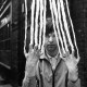 Peter Gabriel II (Vinilo) (180 Gram Vinyl)