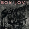 Bon Jovi Slippery When Wet (CD)