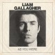 Liam Gallagher As You Were (Vinilo)