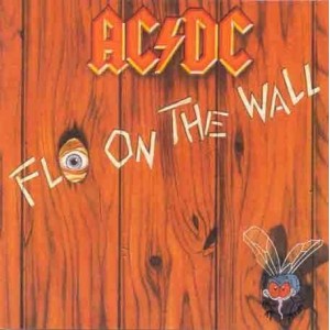 AC/DC Fly on the Wall (Remastered) (LP)