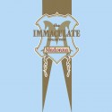 Madonna The Immaculate Collection (CD)