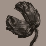 Pet Shop Boys Release (Vinilo)