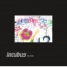 Incubus HQ Live (CD+DVD)