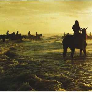 Foals Holy Fire (Vinilo)