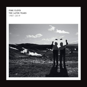 Pink Floyd The Later Year: 1987 - 2019 (Vinilo) (2LP)