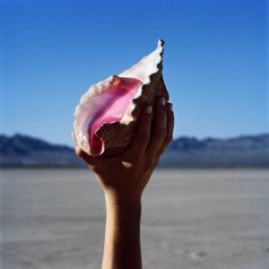 The Killers Wonderful Wonderful (Vinilo)
