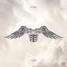 Zayn Icarus Falls (2CD) 