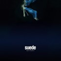 Suede Night Throughts (CD)