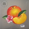 Phoenix Bankrupt ! (Vinilo)