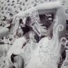 Bjork  Vespertine (Vinilo) (2LP)