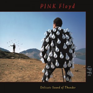Pink Floyd Delicate Sound Of Thunder (2CD)
