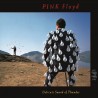 Pink Floyd Delicate Sound Of Thunder (2CD)