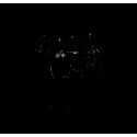 Weezer The Black Album (CD)