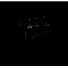Weezer The Black Album (CD)