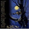 Iron Maiden Fear Of The Dark (Vinilo) (2LP)