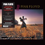Pink Floyd A Collection Of Great Dance Songs (Vinilo)
