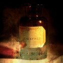 Blackfield Blackfield (Vinilo)