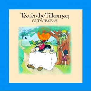 Cat Stevens Tea For The Tillerman (CD)