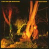 Echo & The Bunnymen Crocodiles (Vinilo)