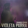 Violeta Parra Grandes Exitos (Vinilo)