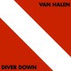 Van Halen Diver Down (LP) (180 Gram Vinyl)