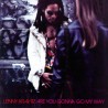 Lenny Kravitz Are You Gonna Go My Way (Vinilo) (2LP)