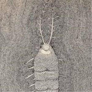 Daniel Melero Qualia / Micrografía (Vinilo)