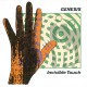Genesis Invisible Touch (Vinilo)