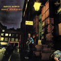 David Bowie The Rise And Fall Of Ziggy Stardust And The Spiders From Mars (Vinilo)
